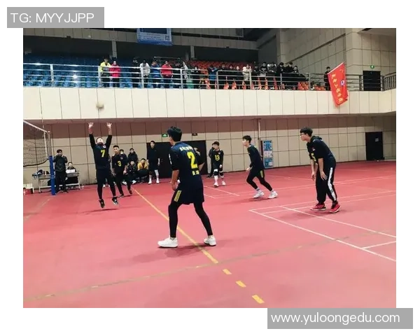 南京排球队团队协作变革引发热议助力竞技水平提升与发展